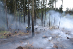 Rozsáhlý požár lesa v katastru obce Studenec
