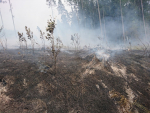 Rozsáhlý požár lesa v katastru obce Studenec
