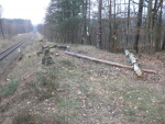 Pokácené dřeviny u železniční trati 080 Bakov nad Jizerou - Jedlová