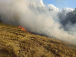 Požár pole v Tachově