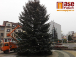 Instalalace osvětlení vánočního stromu v Semilech