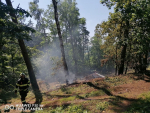 Požár lesa u krematoria v Semilech