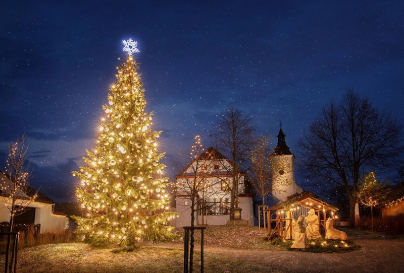 Vánoční strom<br />Autor: Archiv ČEZ