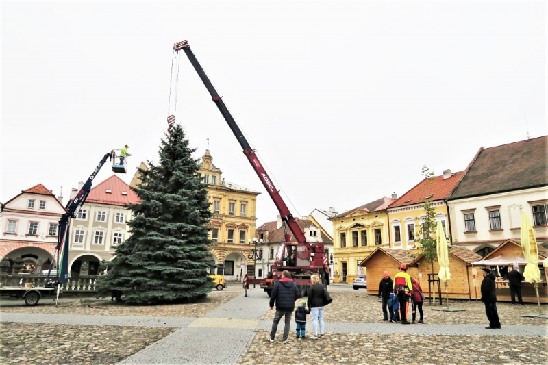 Letošní usazování vánočního stromu v Kadani<br />Autor: Archiv ČEZ