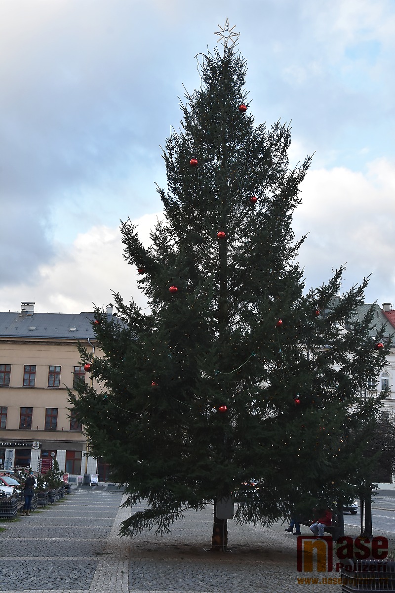 Vánoční strom na náměstí Českého ráje v Turnově