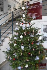 Vánoční strom v přízemí turnovské radnice