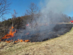 Požár trávy ve Vratislavicích