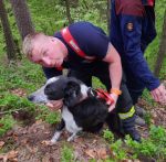 Záchrana psa uvízlého na vysoké skále u Turnova