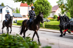 Krajský den koně aneb Já mám koně v Lomnici nad Popelkou 2022