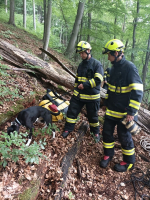 Záchrana psa ze skály v Turnově - Bukovině
