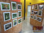 Výstava fotografií fotokroužku Fokusu Semily Máme rádi zvířata