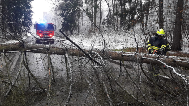 Hasiči odstraňují spadlé stromy v Železném Brodě, Slané i Vratislavicích