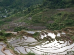 Filipíny - rýžové terasy