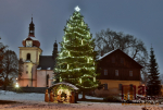 Obrazem: Vánoční stromy na Jilemnicku 2022