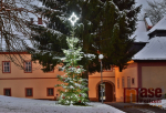 Vánoční strom v Horní Branné