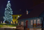 Vánoční strom v Dolní Branné