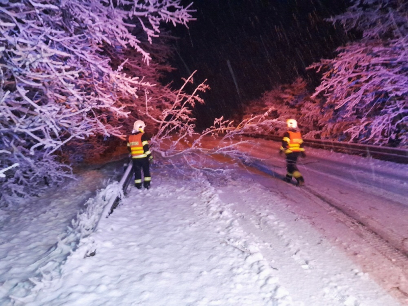 Čerstvý sníh zatížil stromy a zablokoval silnice