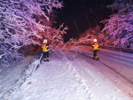 Kvůli čerstvému sněhu jsou popadané stromy i zablokované silnice