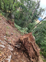 Strom spadl na turistickou cestu k hradu Bezděz