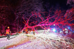 Hasiči po novém sněžení nejčastěji odstraňovali stromy ze silnic