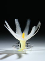 Výstava V plné formě/ Průřez současným českým šperkem