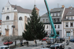 Instalace vánočního stromu na turnovském náměstí