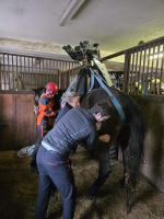 Zásah jednotky hasičů v obci Benešov u Semil u koně, který zůstal ležet