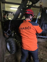 Zásah jednotky hasičů v obci Benešov u Semil u koně, který zůstal ležet