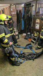 Zásah jednotky hasičů v obci Benešov u Semil u koně, který zůstal ležet