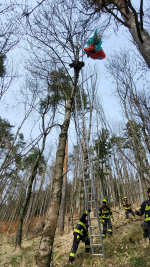 Záchrana paraglidisty na Kozákově